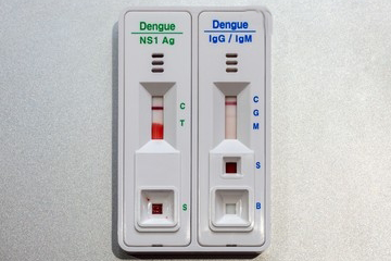 Dengue-NS1 – Copy